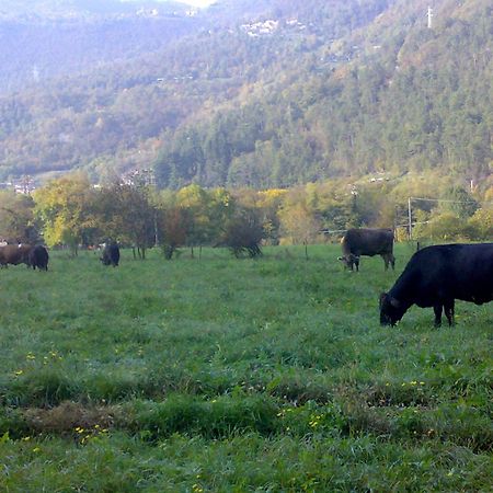 Agriturismo Biobio Vobarno Luaran gambar
