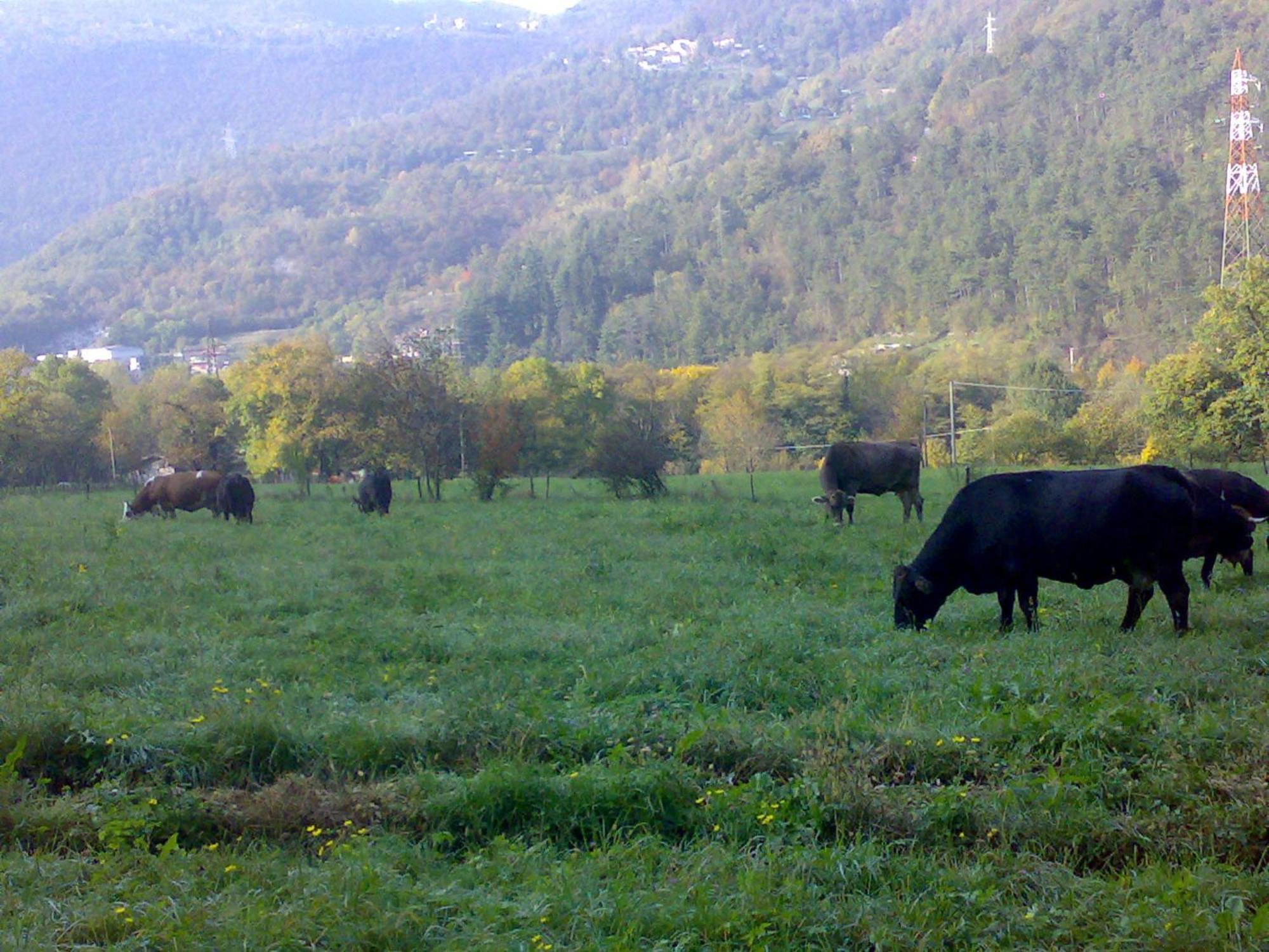 Agriturismo Biobio Vobarno Luaran gambar